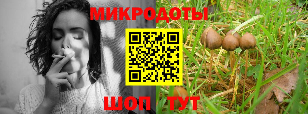купить   Псилоцибиновые грибы Psilocybine cubensis  Вход с VPN  Домодедово 